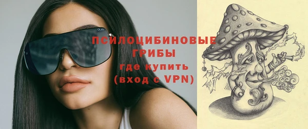 МДПВ Алексеевка