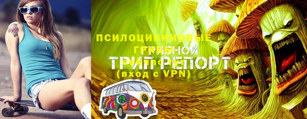 Альфа ПВП Алексин