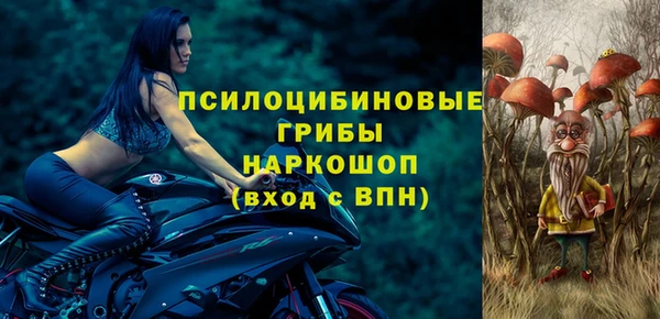 прущие грибы Протвино