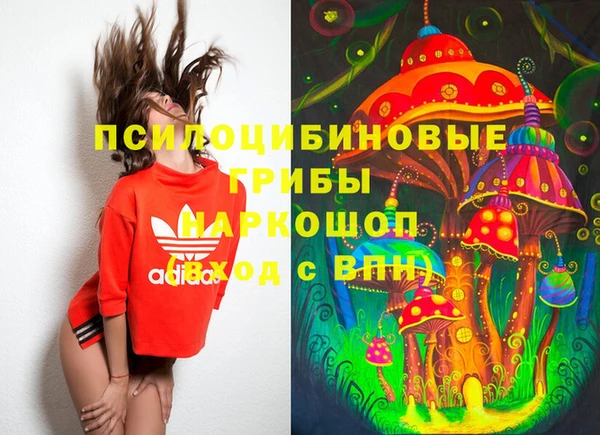МДПВ Алексеевка