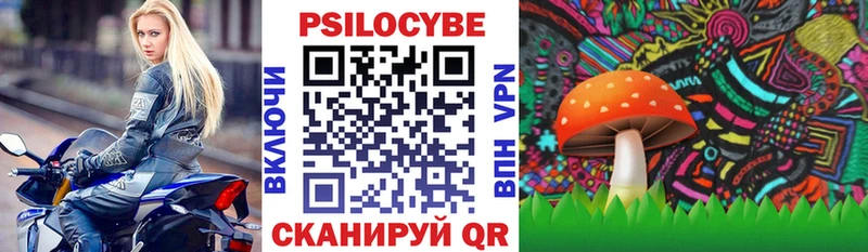 Галлюциногенные грибы мухоморы  купить наркотики цена  Солнечногорск 