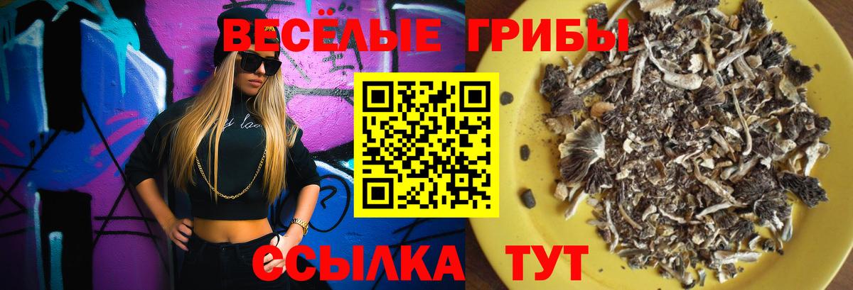 Галлюциногенные грибы MAGIC MUSHROOMS  Вход с VPN  Солнечногорск 